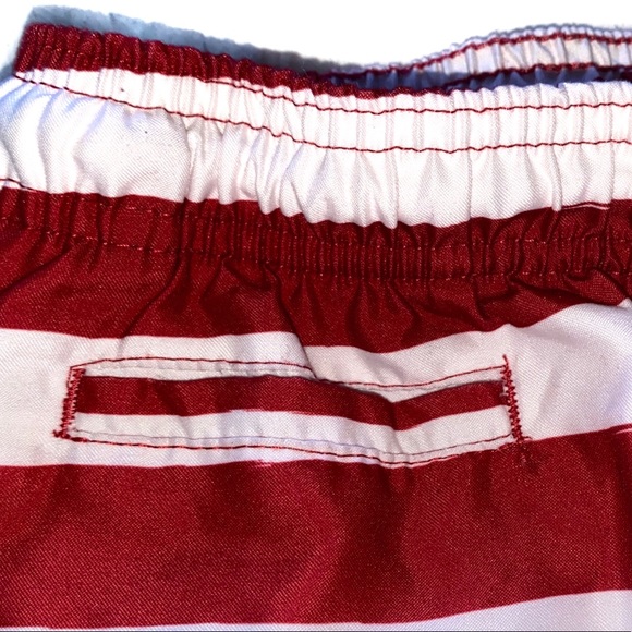 Trunks Surf & Swim Co Sano Swim Stripe Shorts- - Picture 7 of 16